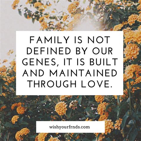 Best Family Quotes About Love and Why Family Is Important Quotes!