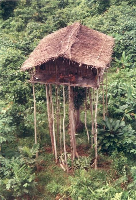 Tree house of Korowai tribe in Yahukimo, Asmat - Papua (Indonesia ...