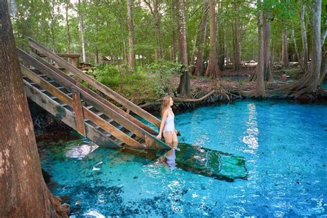 Ginnie Springs Is The Perfect Florida Oasis - Social Junkie