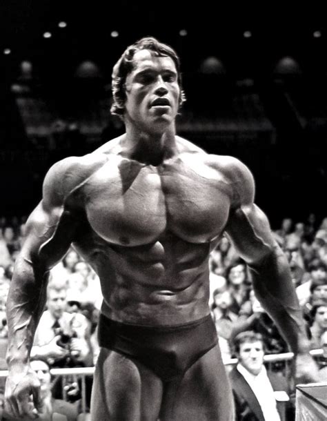 Arnold Wallpaper