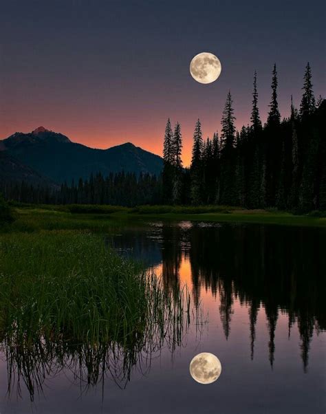 A beautiful night time shot of Mother Nature. | Nature photography ...