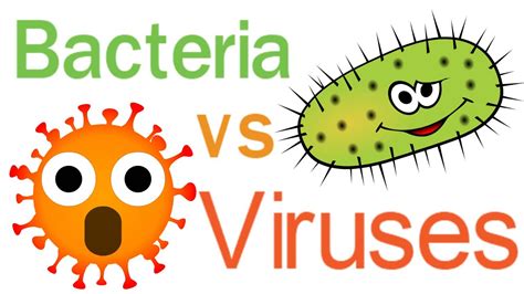 Différences entre les infections bactériennes et virales - Fmedic