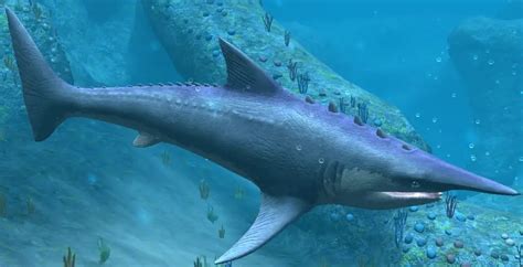 Helicoprion Pictures - Gage Beasley Prehistoric | Recapping Timeless ...