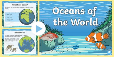 What is an Ocean? | Twinkl Teaching Wiki - Twinkl