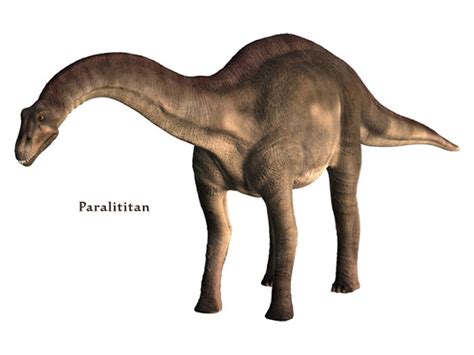 Extinct Animal of the Week: June 2013