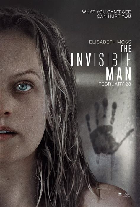 The Invisible Man (2020) - Plot - IMDb