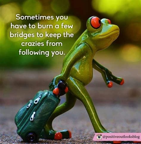 Crazies | Funny frogs, Funny cartoon quotes, Funny good morning quotes