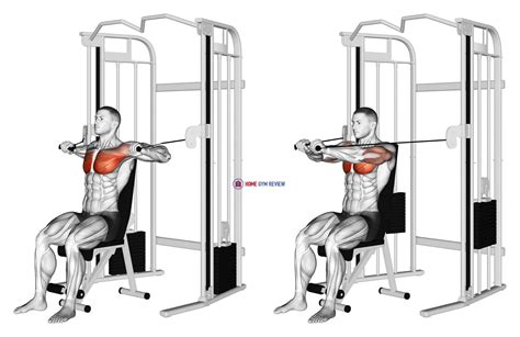 Cable Seated Chest Press - Home Gym Review