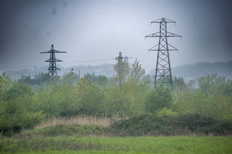 Works progresses at Portbury Wharf Nature Reserve | National Grid ET