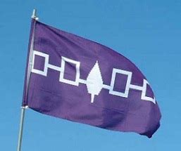 City of Syracuse to Recognize Haudenosaunee with Friday Flag Raising ...