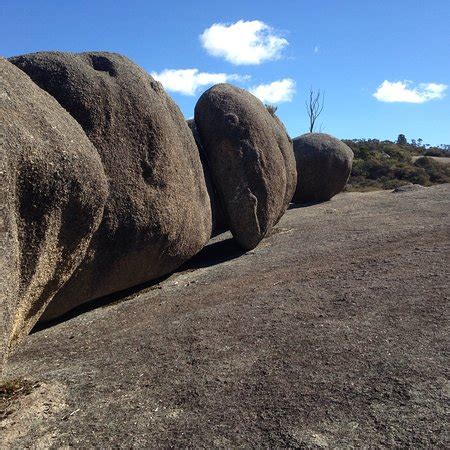 Bald Rock National Park (Tenterfield) - 2018 All You Need to Know Before You Go (with Photos ...