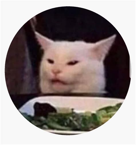 Salad Cat Meme, HD Png Download , Transparent Png Image - PNGitem