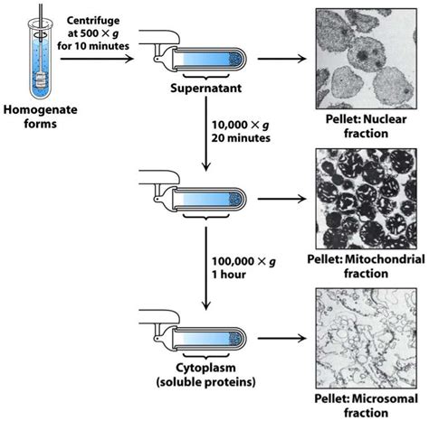 Centrifugation