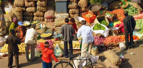 Conquer Your Local Farmer's Market with Confidence | Farmers market, Local farmers market, Local ...