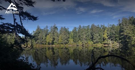 Best trails in Reedsport, Oregon | AllTrails