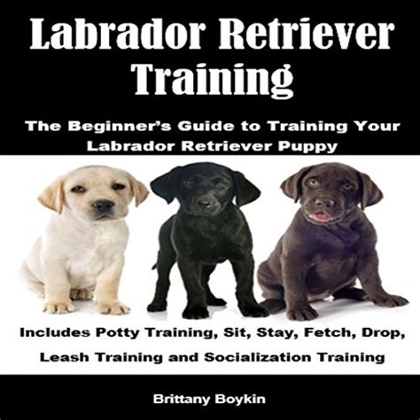 Labrador Retriever Training: The Beginner's Guide to Training Your ...