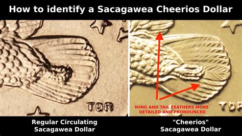 How to Tell If You Have a Cheerios Sacagawea Coin?