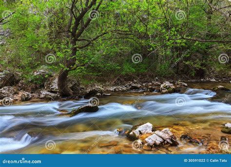 Mountain Stream and Waterfalls in the Forest in Spring Stock Photo ...