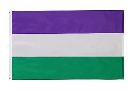 Large Genderqueer Pride Flag