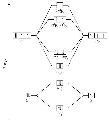 Draw the molecular orbital diagrams for the diatomics nitrogen, oxygen ...