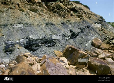 Bituminous Coal Vein Stock Photo - Alamy