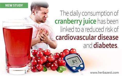 Cranberry Juice Helps Reduce Cholesterol and Improves Glucose Metabolism, Study Reveals