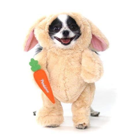 Dog Easter Outfits | Dog Easter Outfits Your Dog Definitely Wants to Wear