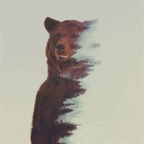 Double exposure animals | Art & Creative Projects | Art Jobs