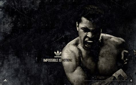 448x368 Resolution muhammad ali, boxer, sports 448x368 Resolution ...