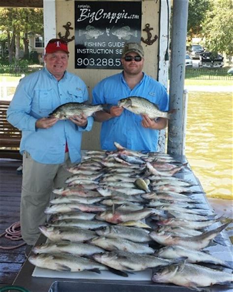 7/28/15 Cedar Creek Lake Fishing Report with BigCrappie.com & DallasFishingCharters.com