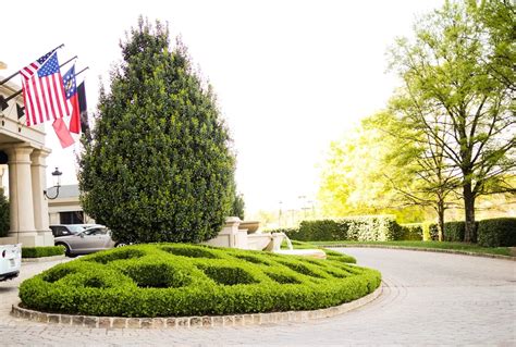 Boxwood Hedge Landscaping Ideas — Randolph Indoor and Outdoor Design