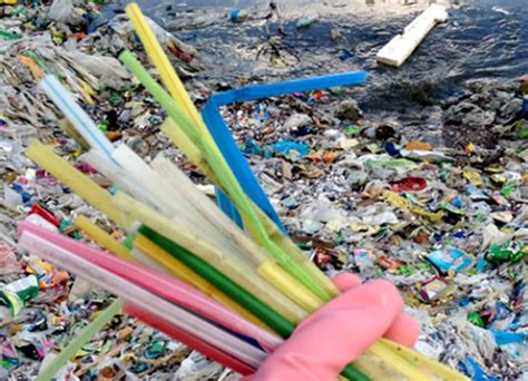 The Last Straw for Plastics - RECYCLING magazine