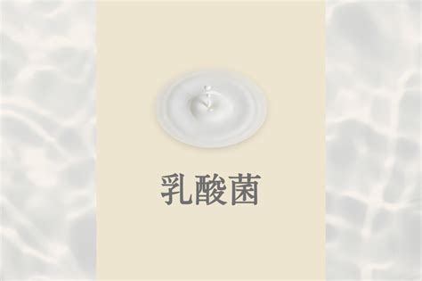 乳酸菌配合（潤い成分） | ビューティーバス | 入浴剤（浴場用） | プロ向け製品 | 健美薬湯