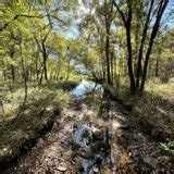 Cedar Lake Trail, Oklahoma - 129 Reviews, Map | AllTrails