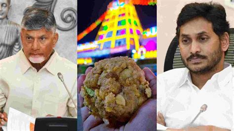 KMF Responds To Andhra CM's Allegations Of Animal Fat In Tirupati Laddu Prasadam - TheDailyGuardian