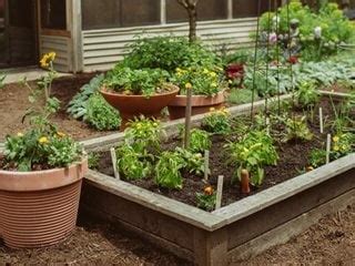 Raised Bed Garden Design: How To Layout & Build | Garden Design