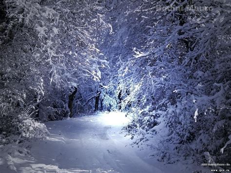 Wallpapers: Winter Scenery