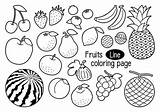 Free Vectors  Various fruits coloring Page sketch template