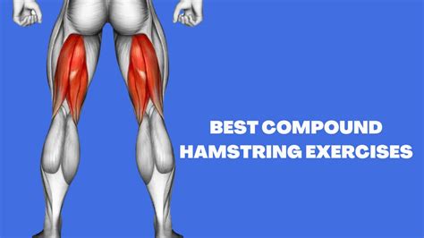 Top 10 Hamstring Strengthening Exercises - Knee Pain Explained, strengthening exercises for ...