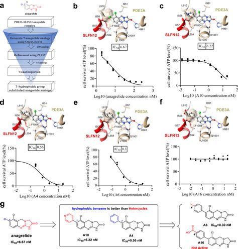 Structure-based design of molecular glue a Flowchart of our... | Download Scientific Diagram