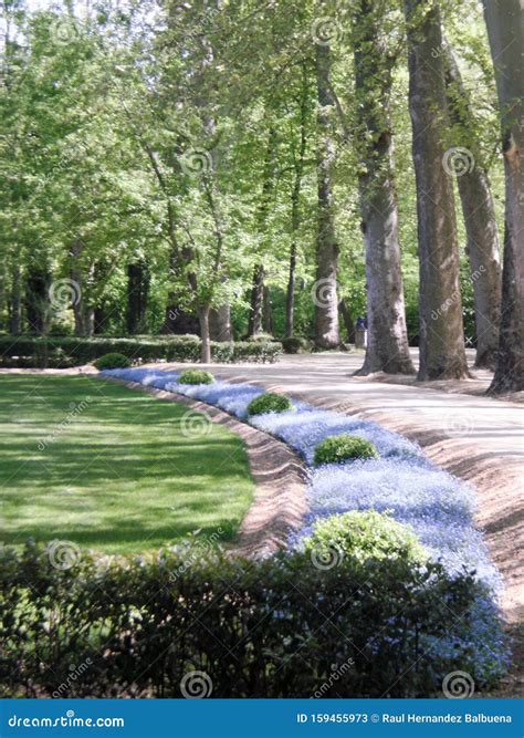 Colorful Gardens of Aranjuez Palace. Stock Image - Image of park, historic: 159455973