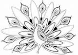 Abstract Peacock Coloring Pages sketch template