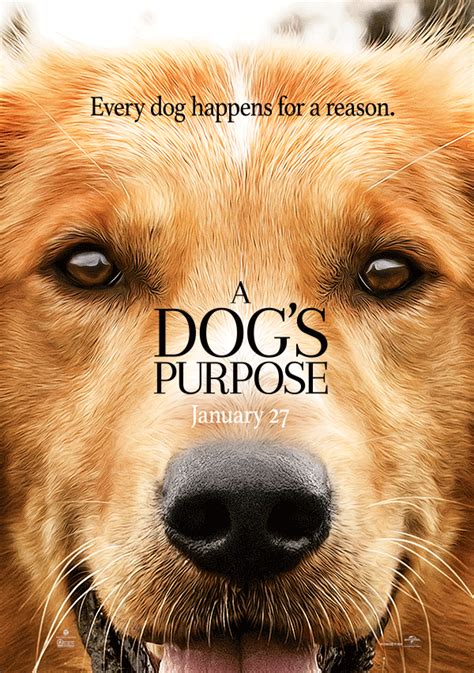 A Dog’s Purpose: Movie Review | Kings River Life Magazine