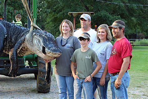 Alabama Native Recounts Catching Record Gator | OutdoorHub