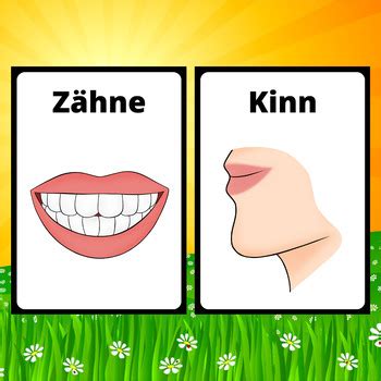 German Human Body Parts Flash Cards. 21 Printable flashcards for K ...