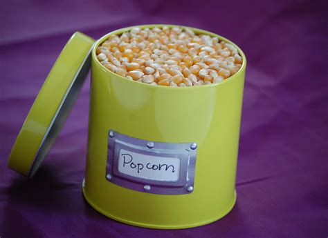 Popcorn Kernels Free Photo Download | FreeImages