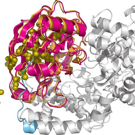 Native protein structure of 1BKB and center of gravity for top 100... | Download Scientific Diagram