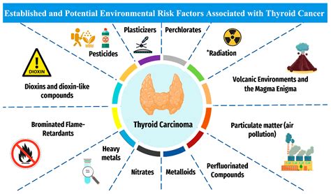 Cancers | Free Full-Text | Thyroid Carcinoma: A Review for 25 Years of Environmental Risk ...