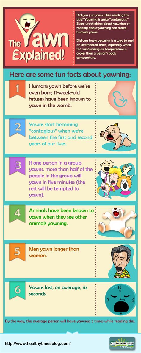 The yawn explained | Health24