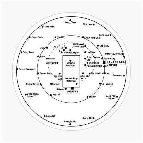 Cricket Fielding Positions